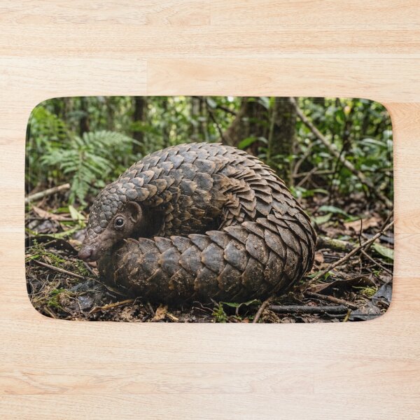 Item preview, Pangolin partially coiled designed and sold by Malisa345.