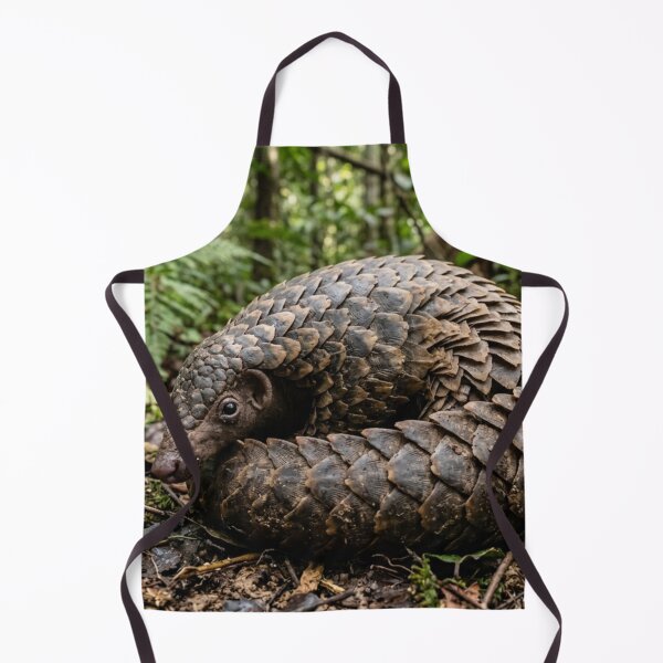 Item preview, Pangolin partially coiled designed and sold by Malisa345.