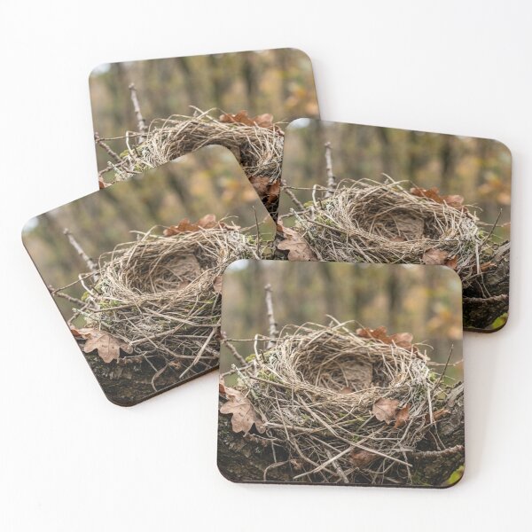 Item preview, Empty abandoned nest designed and sold by Malisa345.