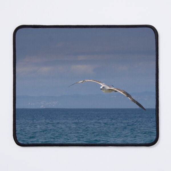 Item preview, Between Tides designed and sold by Beti Photography.