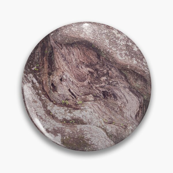 Item preview, Twisted Ancient Olive Tree Peloponnese Greece designed and sold by PhotoArt by Joan Carroll.