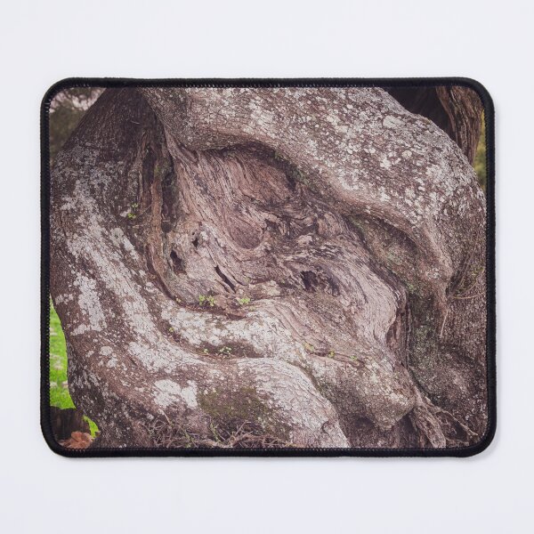 Item preview, Twisted Ancient Olive Tree Peloponnese Greece designed and sold by PhotoArt by Joan Carroll.