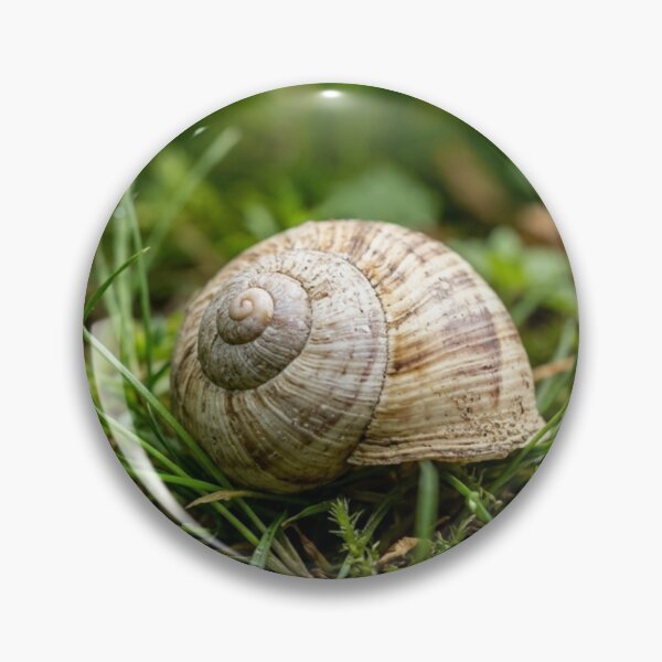 Item preview, Empty snail shell in the grass designed and sold by Malisa345.