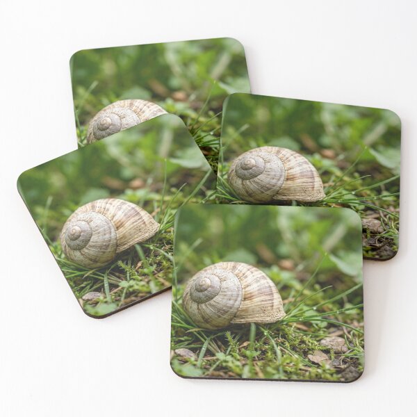 Item preview, Empty snail shell in the grass designed and sold by Malisa345.