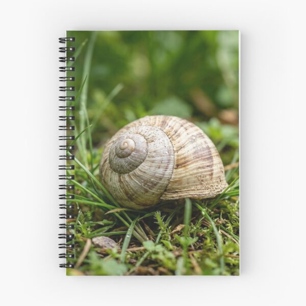 Item preview, Empty snail shell in the grass designed and sold by Malisa345.