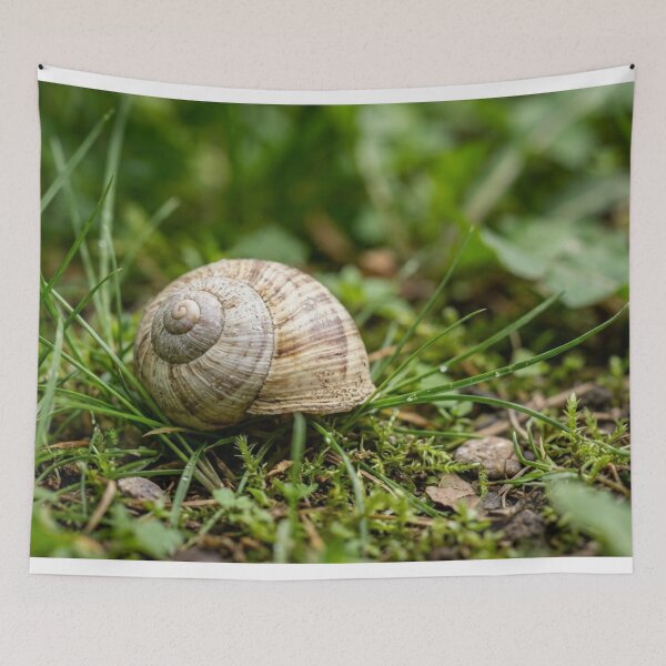 Item preview, Empty snail shell in the grass designed and sold by Malisa345.