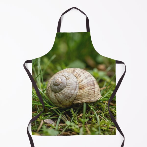 Item preview, Empty snail shell in the grass designed and sold by Malisa345.