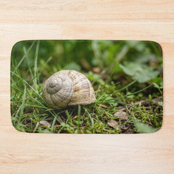Item preview, Empty snail shell in the grass designed and sold by Malisa345.