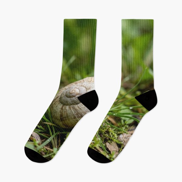 Item preview, Empty snail shell in the grass designed and sold by Malisa345.