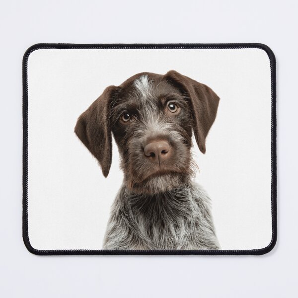 Item preview, Adorable German Wirehaired Pointer Pup for Cute German Wirehaired Pointer puppy lovers designed and sold by LazyOwlStore.