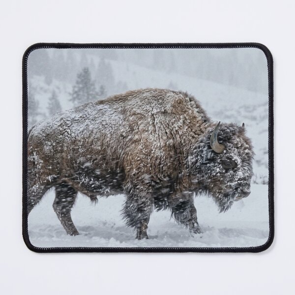 Item preview, Bison in a snowstorm designed and sold by Malisa345.