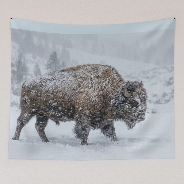 Item preview, Bison in a snowstorm designed and sold by Malisa345.