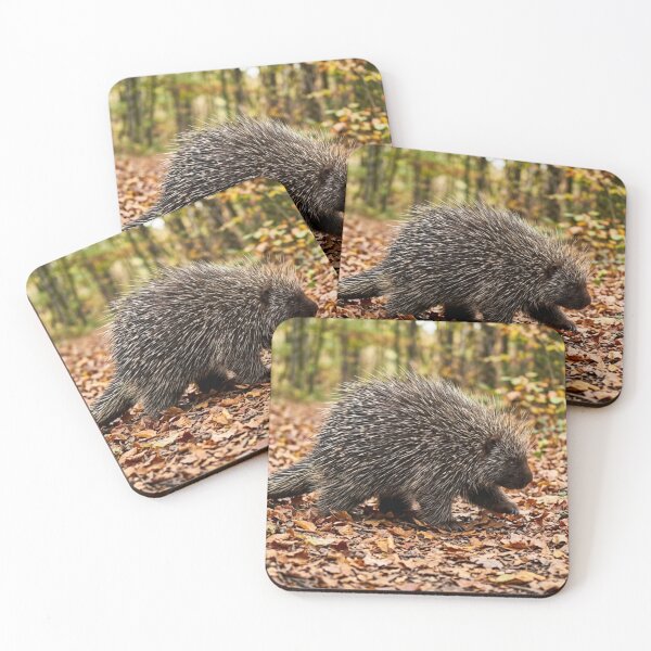 Item preview, Porcupine in the dead leaves designed and sold by Malisa345.