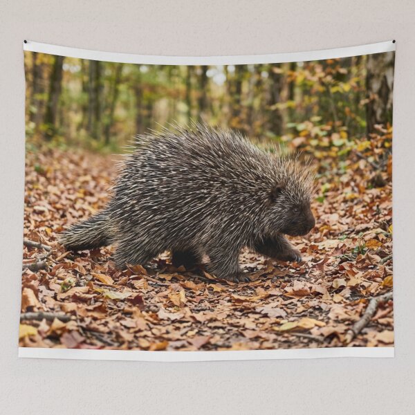 Item preview, Porcupine in the dead leaves designed and sold by Malisa345.