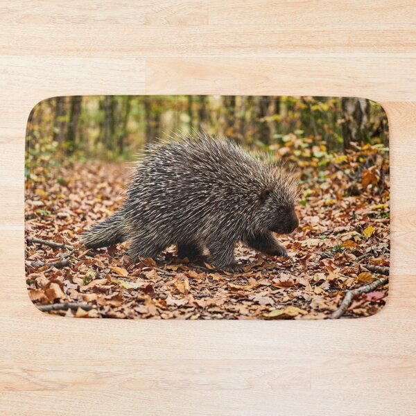Item preview, Porcupine in the dead leaves designed and sold by Malisa345.