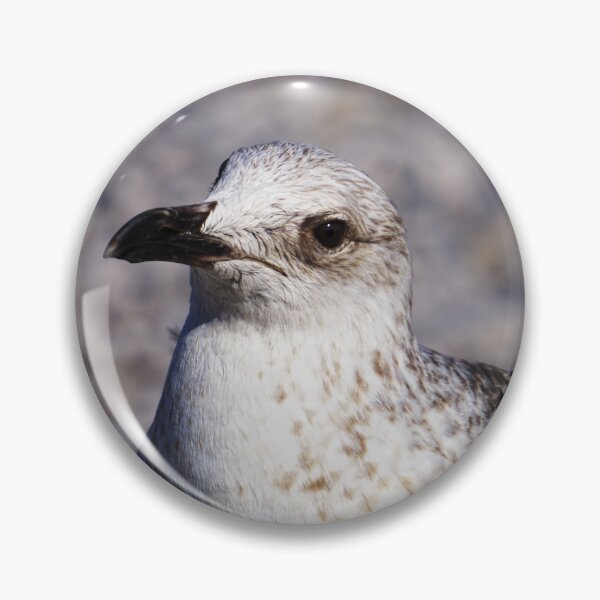 Item preview, Quiet Watcher designed and sold by Beti Photography.