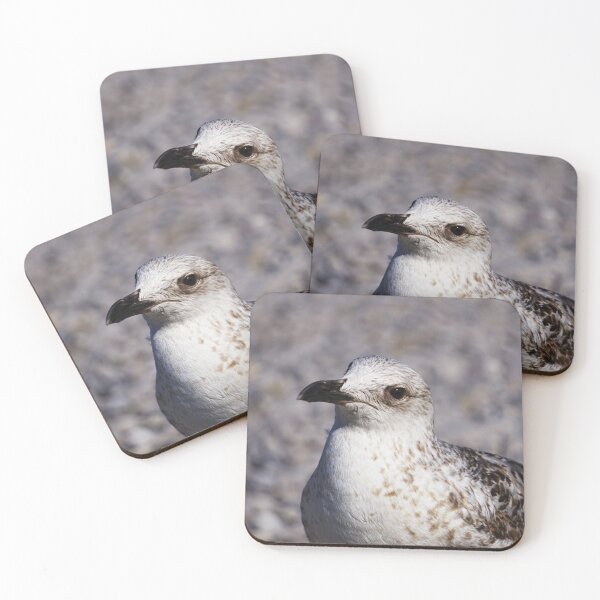 Item preview, Quiet Watcher designed and sold by Beti Photography.