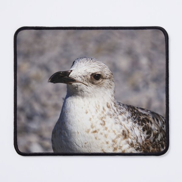 Item preview, Quiet Watcher designed and sold by Beti Photography.