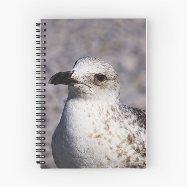 Item preview, Quiet Watcher designed and sold by Beti Photography.