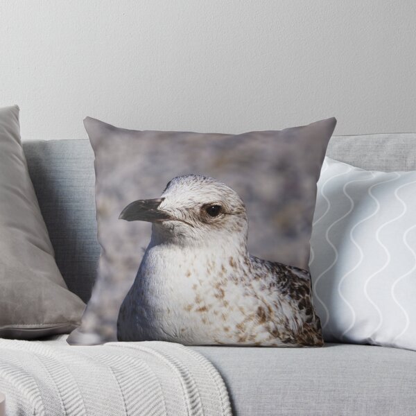 Item preview, Quiet Watcher designed and sold by Beti Photography.
