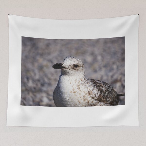 Item preview, Quiet Watcher designed and sold by Beti Photography.