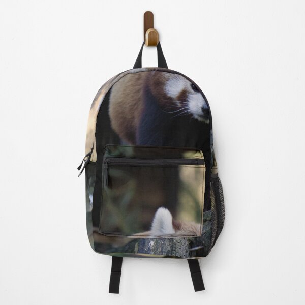 Item preview, Curious Red Panda designed and sold by Beti Photography.
