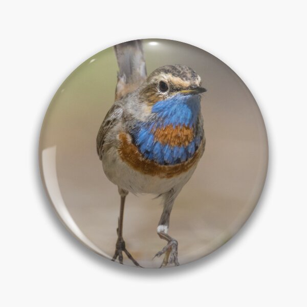 Item preview, Red Spotted Bluethroat designed and sold by LaurenTucker.