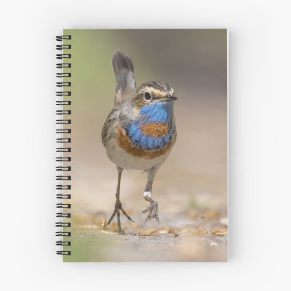 Item preview, Red Spotted Bluethroat designed and sold by LaurenTucker.