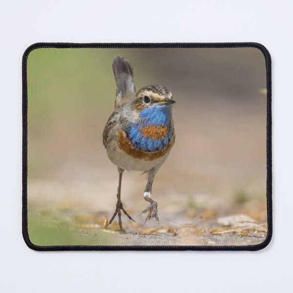 Item preview, Red Spotted Bluethroat designed and sold by LaurenTucker.