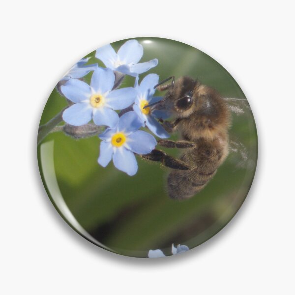 Item preview, Not to bee forgotten designed and sold by edsemporiumofphotos.
