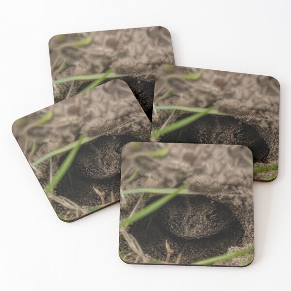Item preview, Dusky Gopher Toad in Natural Habitat - Macro Wildlife Photography designed and sold by ChiefMomCo.