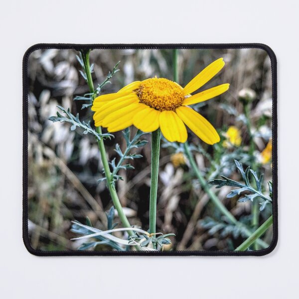 Item preview, Golden Daisy Wildflower Glow – Nature Macro Photography designed and sold by yul4ik80.