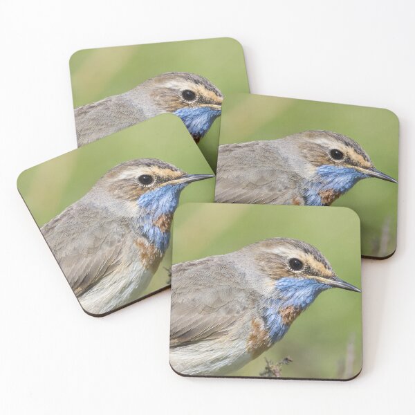 Item preview, Red Spotted Bluethroat designed and sold by LaurenTucker.