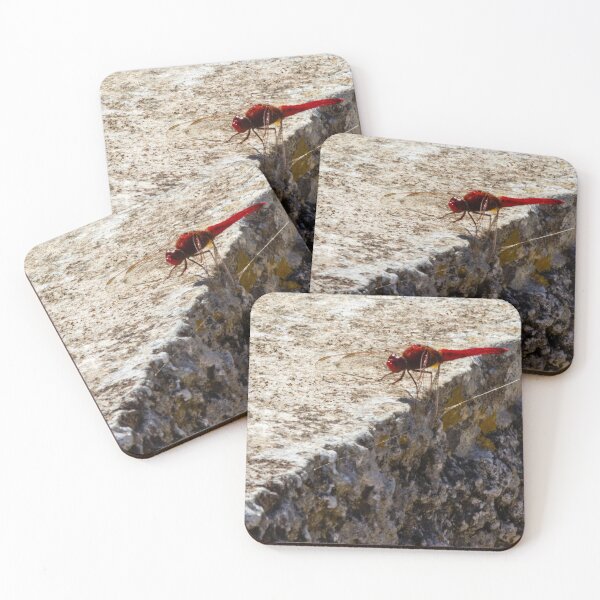 Item preview, Red Dragonfly Perched On Weathered Stone Edge In Sunny Outdoor Close-Up Photograph designed and sold by Nmallia.