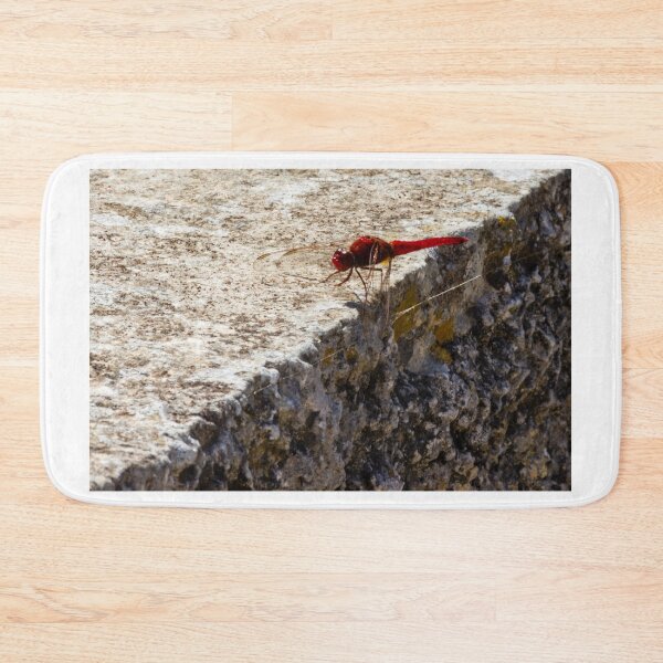 Item preview, Red Dragonfly Perched On Weathered Stone Edge In Sunny Outdoor Close-Up Photograph designed and sold by Nmallia.