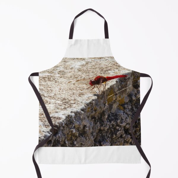 Item preview, Red Dragonfly Perched On Weathered Stone Edge In Sunny Outdoor Close-Up Photograph designed and sold by Nmallia.