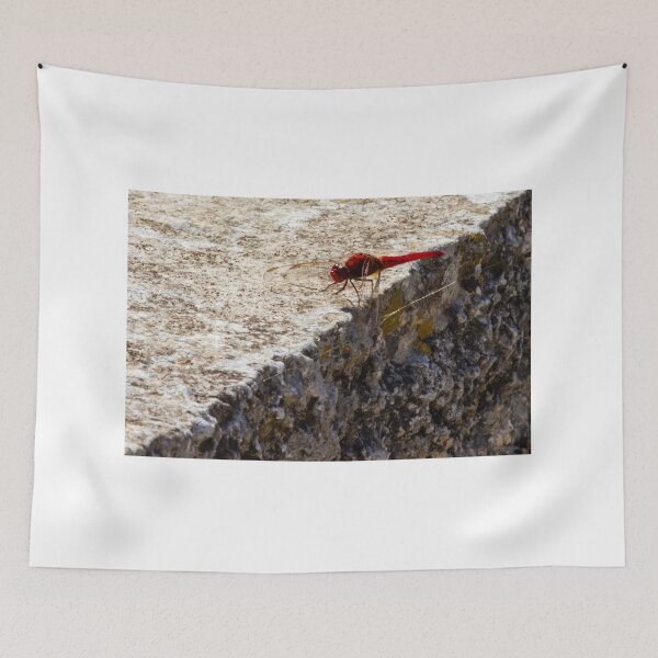 Item preview, Red Dragonfly Perched On Weathered Stone Edge In Sunny Outdoor Close-Up Photograph designed and sold by Nmallia.