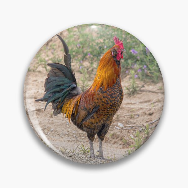 Item preview, Mr. Rooster Posing  designed and sold by CarolM.
