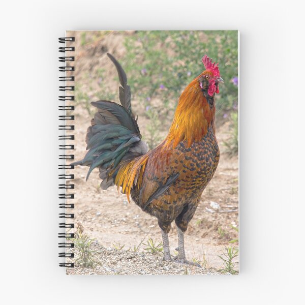 Item preview, Mr. Rooster Posing  designed and sold by CarolM.