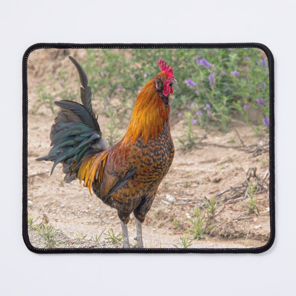 Item preview, Mr. Rooster Posing  designed and sold by CarolM.