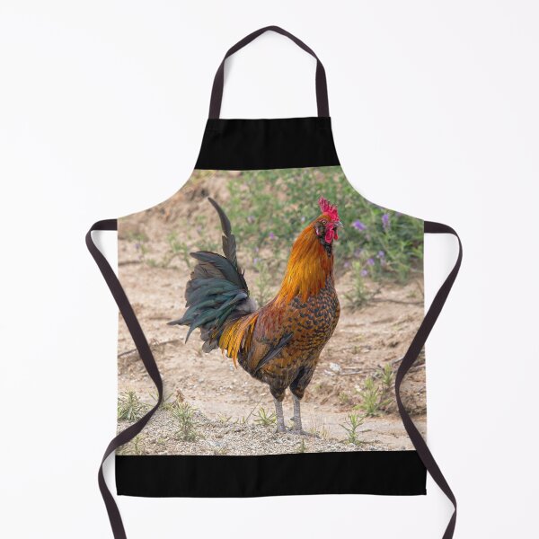 Item preview, Mr. Rooster Posing designed and sold by CarolM.