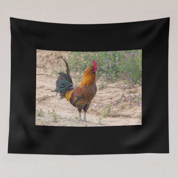 Item preview, Mr. Rooster Posing  designed and sold by CarolM.