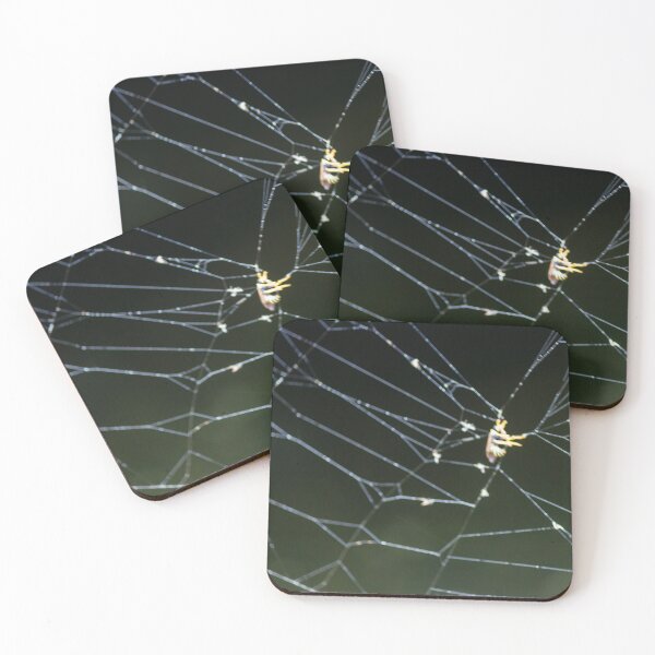 Item preview, Close-Up Of Spider Web With Trapped Insect At Night Showing Dew And Delicate Threads designed and sold by Nmallia.