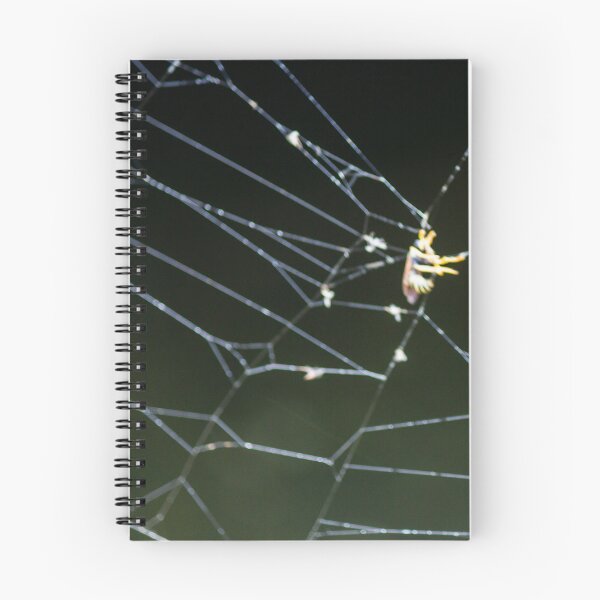 Item preview, Close-Up Of Spider Web With Trapped Insect At Night Showing Dew And Delicate Threads designed and sold by Nmallia.