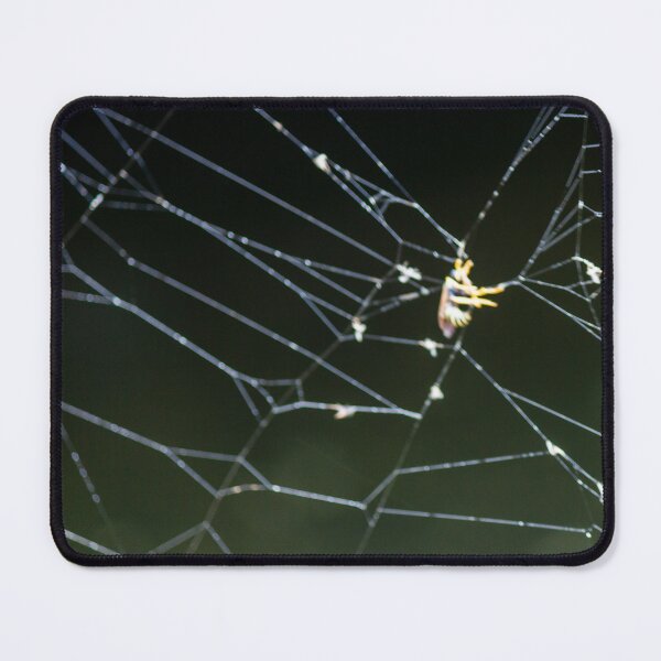 Item preview, Close-Up Of Spider Web With Trapped Insect At Night Showing Dew And Delicate Threads designed and sold by Nmallia.