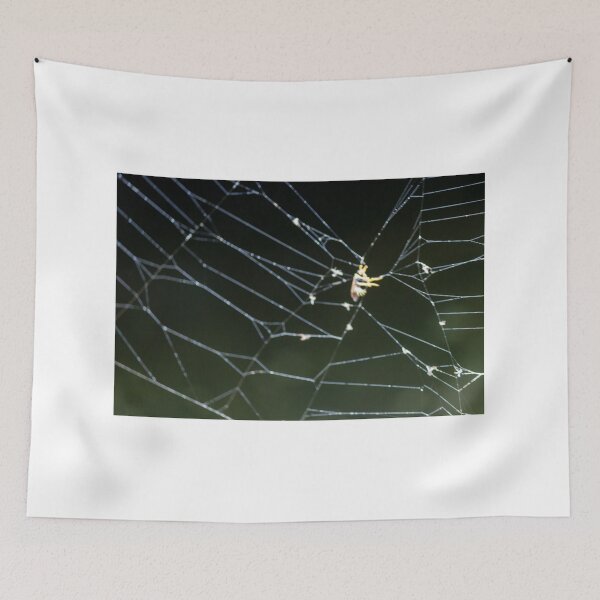 Item preview, Close-Up Of Spider Web With Trapped Insect At Night Showing Dew And Delicate Threads designed and sold by Nmallia.