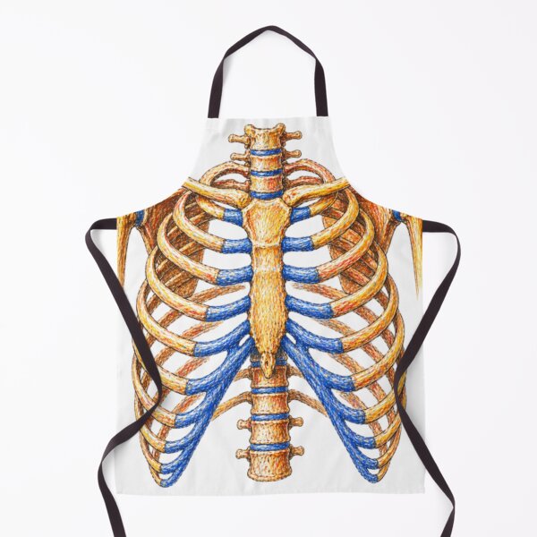 Item preview, Anatomical rib cage – Skeleton illustration designed and sold by JOANNASKAH.