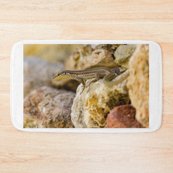 Item preview, Brown Lizard Basking on Sunlit Rocks in Natural Rocky Habitat Close-Up designed and sold by Nmallia.