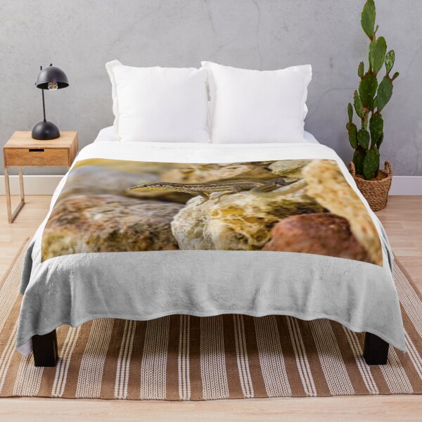 Item preview, Brown Lizard Basking on Sunlit Rocks in Natural Rocky Habitat Close-Up designed and sold by Nmallia.