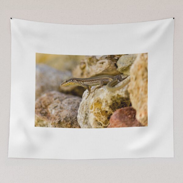 Item preview, Brown Lizard Basking on Sunlit Rocks in Natural Rocky Habitat Close-Up designed and sold by Nmallia.